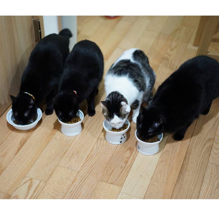 Fa2b125c 3f19 46de 8c8e 34ff75054726 1547769241181