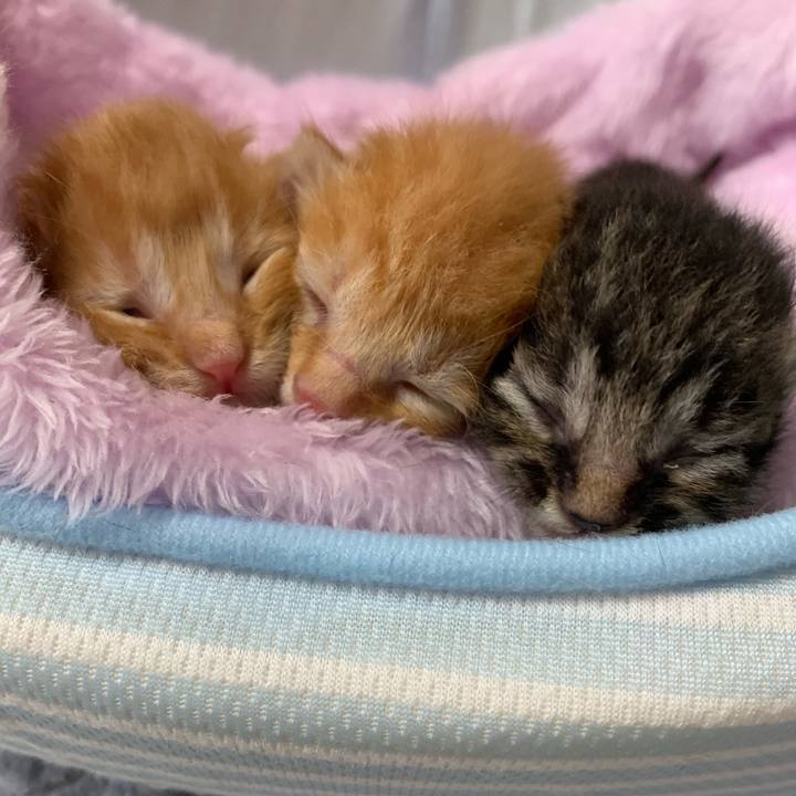 Fa2b13e0 d07e 4266 a1e4 ef67d587b281 1569126752623