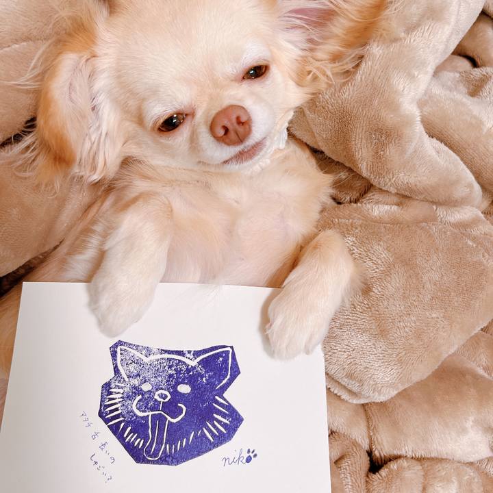 Fa2b2959 87a2 48cb a288 4850edeefc8d 1655797405517