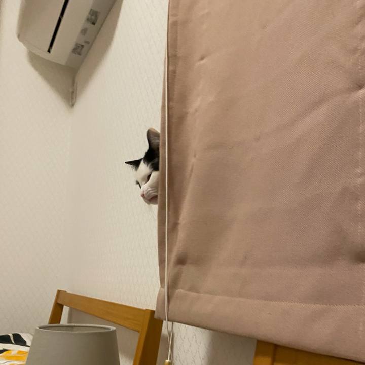 Fa2b30c5 2926 4b05 92b4 f609adb7831a 1765067711207