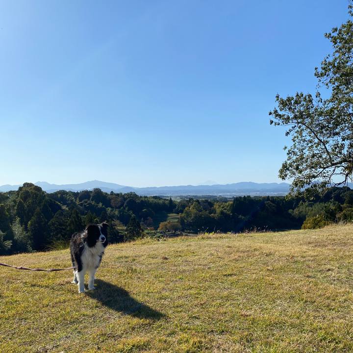 Fa2b3a38 3142 46e8 874a 914b7547d1a1 1669622419496