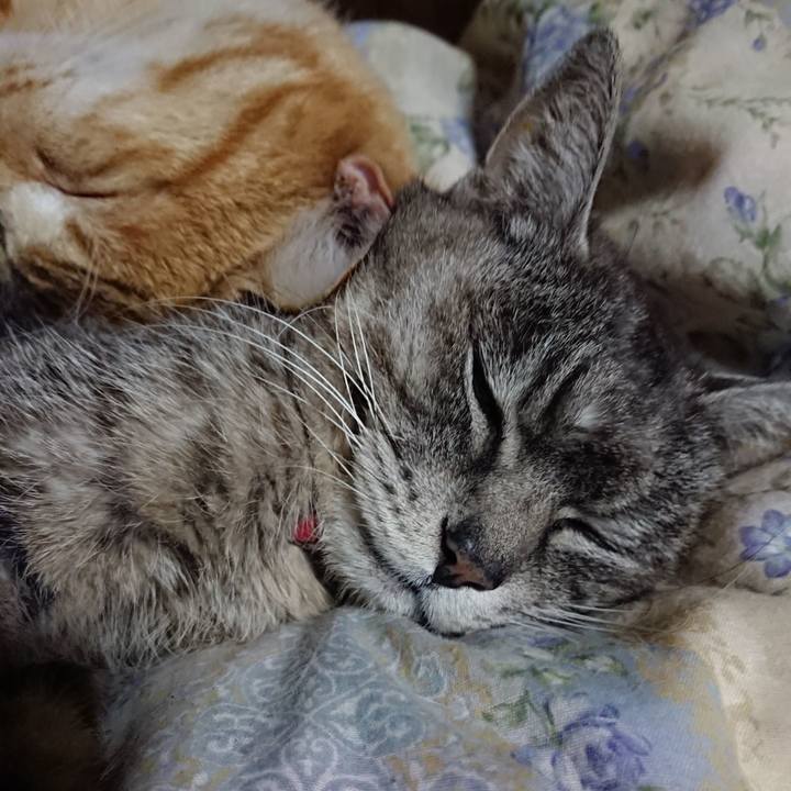 Fa2b4724 88bd 4f5d 8ba7 63bce0640e21 1583154552685