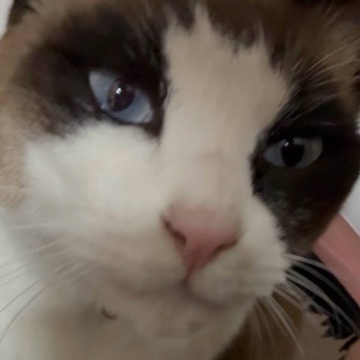 Fa2ba573 c87c 4ef6 a59d b6e014cd20e4 1769605944834