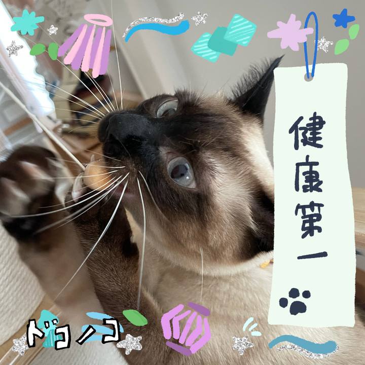 Fa2bcdcc beb2 4b84 a406 b98e7cf08c22 1721159525948