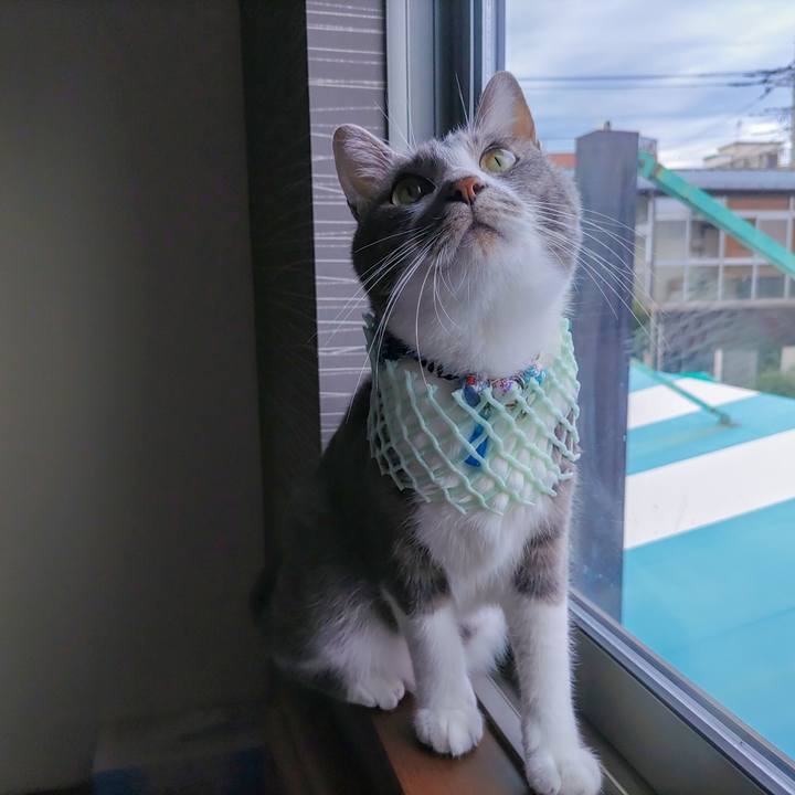 Fa2bcdfd 8f4f 4287 8c44 eb8d45b11880 1666064125206