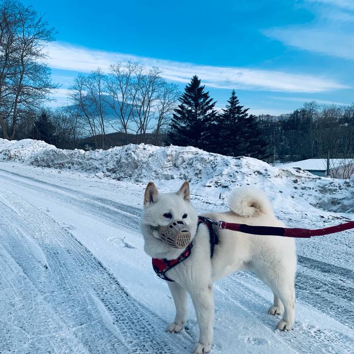 Fa2c026d 960c 4210 b0fa 1db7c36ddb44 1678747790998