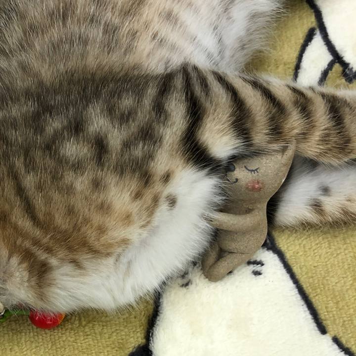 Fa2c05a2 0ac0 4924 a868 64d9f20c4630 1578618800028