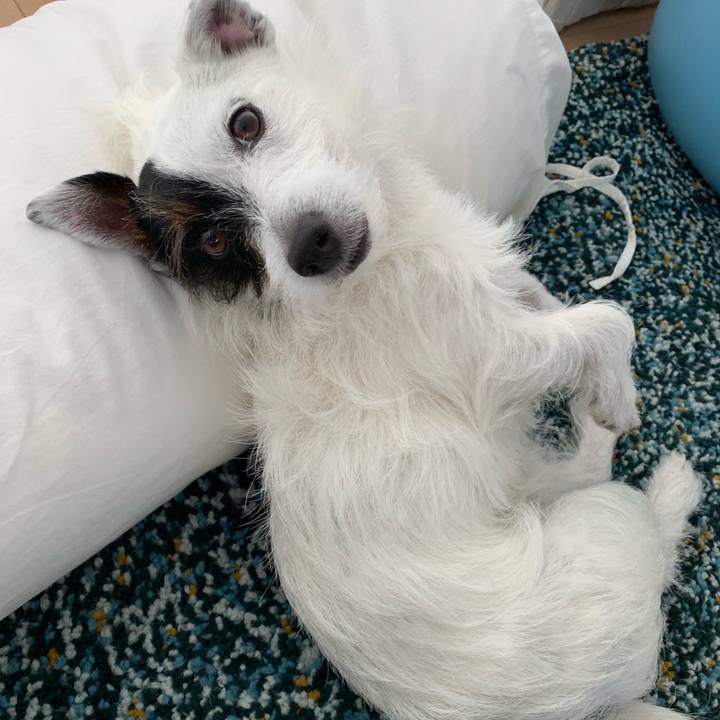 Fa2c7d24 ee5b 4050 97c2 e56cecd87bc4 1560747024154