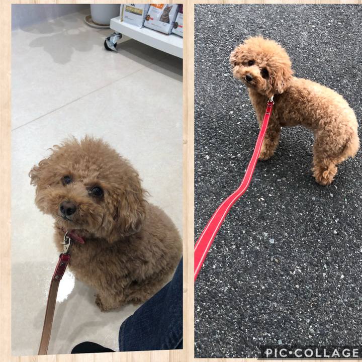 Fa2caced 451e 489f 9413 1da20f2d0762 1608295498283