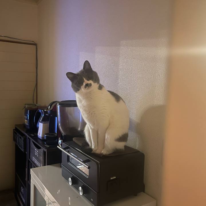 Fa2cc30f 568b 4dba ac56 de3c9afbebe4 1678722020030