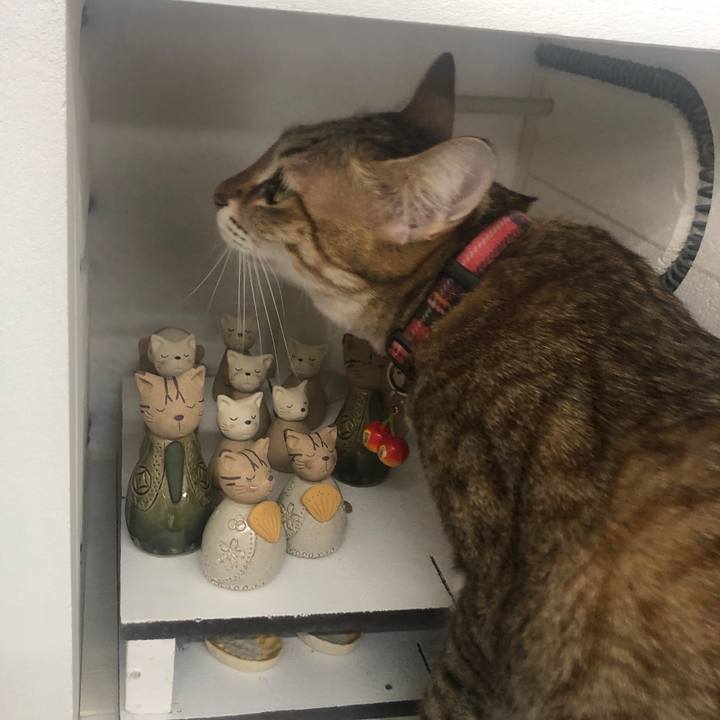 Fa2cfbdf b610 436c b150 ca4318926963 1644828062386