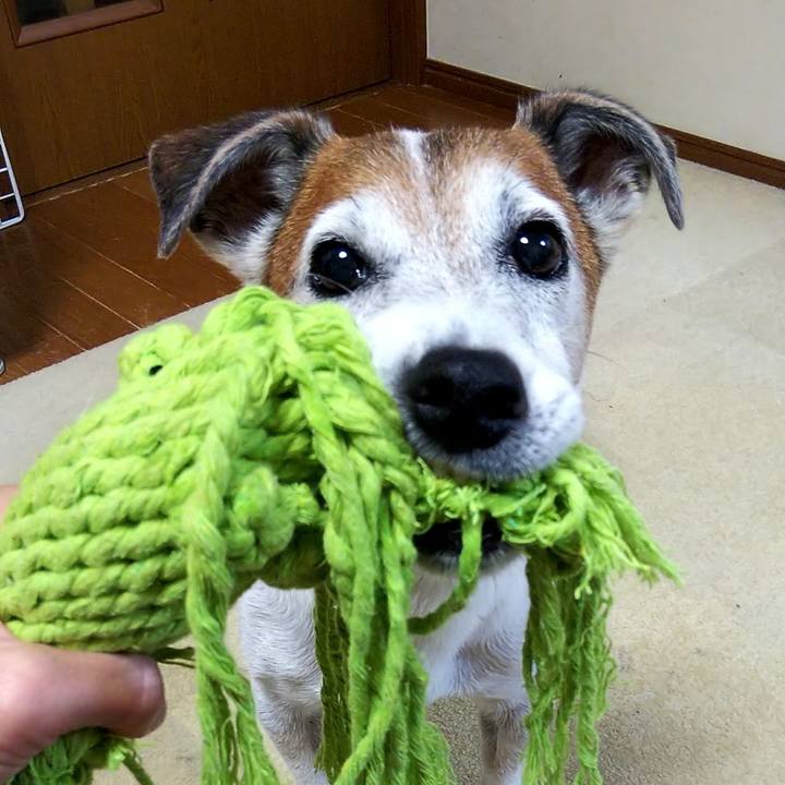 Fa2cfd0c 979a 4770 8354 836c86f21731 1532984746486