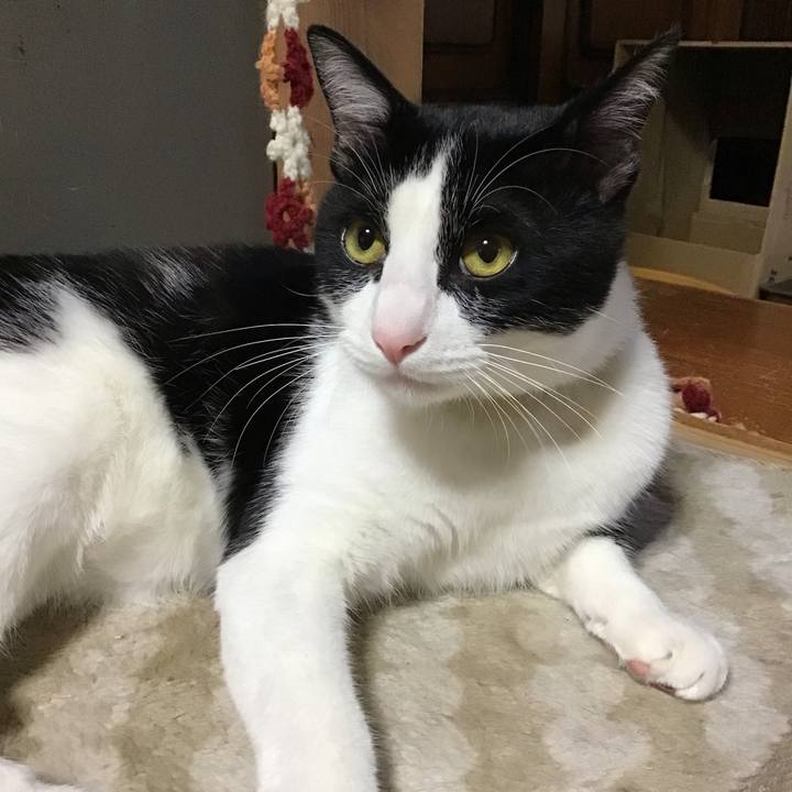 Fa2d0b5f 279f 474d bb30 3d4d8977542e 1652691809645