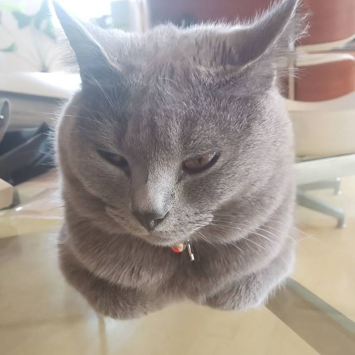 Fa2d1c6a 8fef 43e2 94f6 5b91dde7aeb4 1536387288267