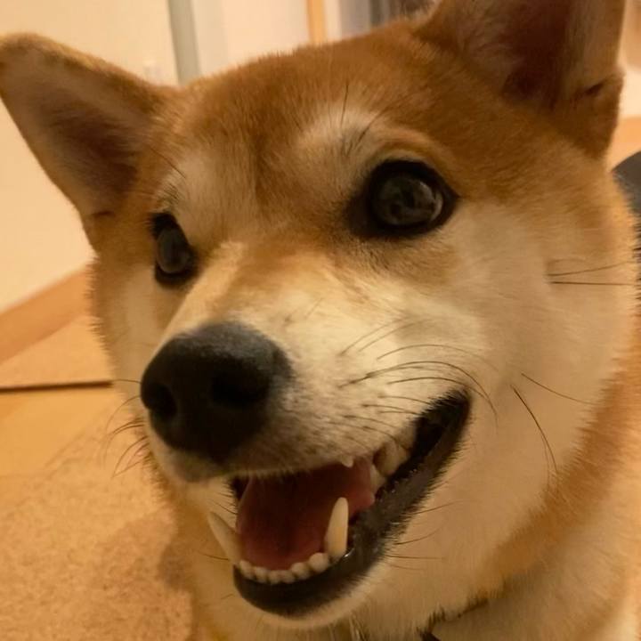 Fa2d1c7c 7a23 4d3f a1d4 c641094c0716 1660859995246