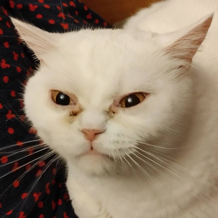 Fa2d4d86 5d0b 4a2b 8c07 4f13da06c7ff 1615629151994