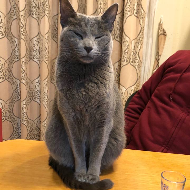 Fa2dc4eb e576 4863 95b2 9153c5b5b928 1578359343835