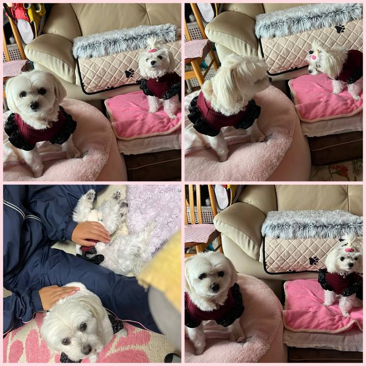 Fa2dca0e 6193 498a a314 2fb7daeea89c 1730975427025