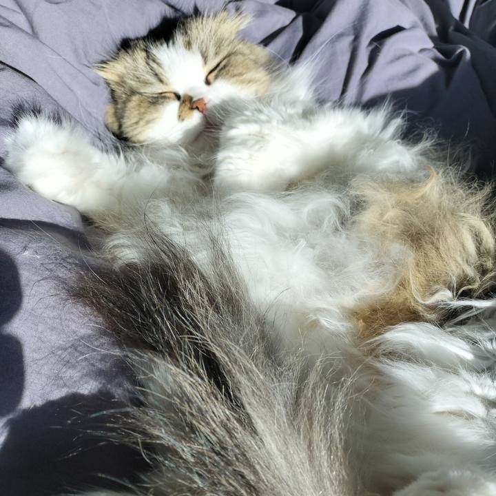 Fa2dd28b 644c 4ba7 9363 8acb76109f74 1767657180762