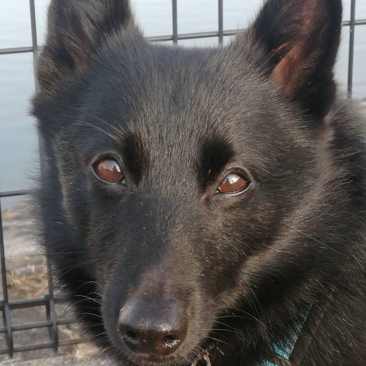 Fa2de33b 8aad 40c4 94bd 5577a18bae21 1639260539095