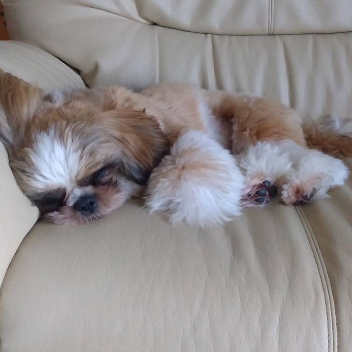 Fa2e0360 c697 477d 9e38 4d7bf73f0c17 1572565650449