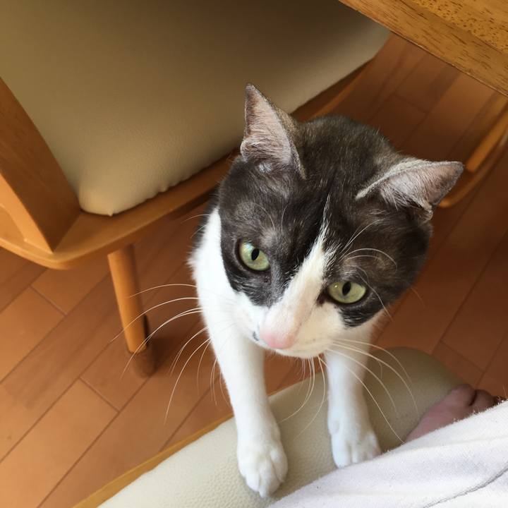 Fa2e0d74 059d 45cd a5c8 386b81a46b99 1512614924753