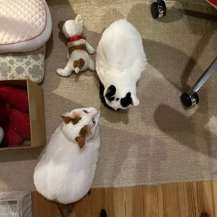 Fa2e13c8 efec 4c56 a8b7 3a33b2dc6df9 1761747162409