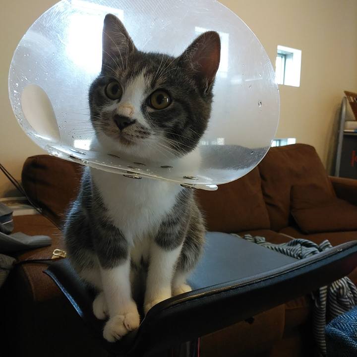 Fa2e1bcd 1393 4dbb 87ab 42f751663f37 1571270924830