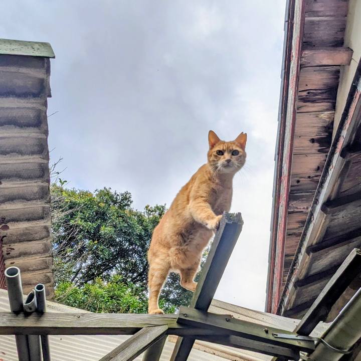 Fa2e4d60 8fde 496e 9caf a91895760d7a 1761883488554