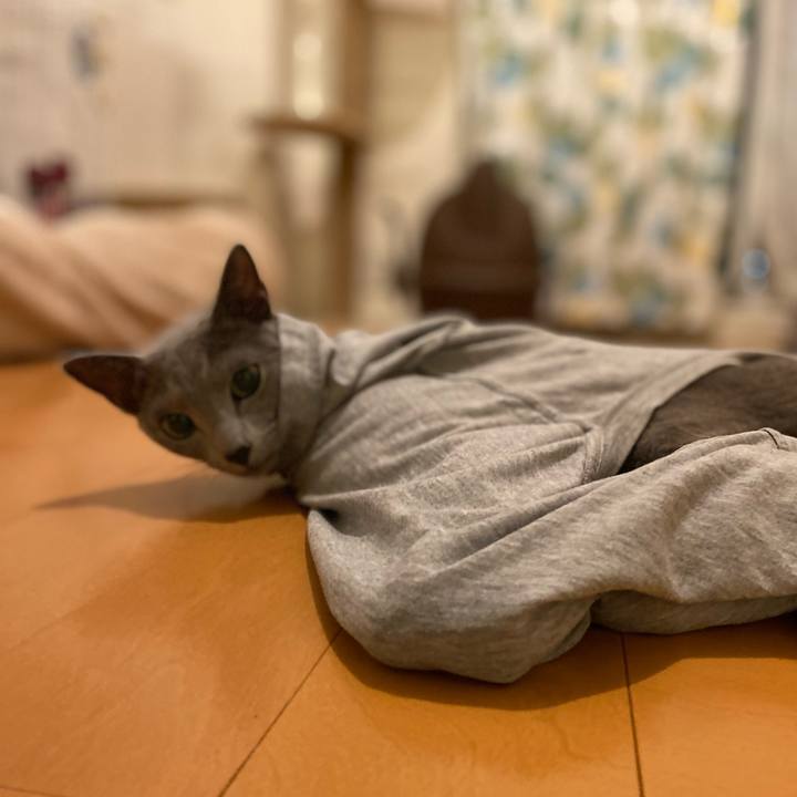 Fa2ec8ef 8103 4973 aef6 8739e1307441 1662419230736