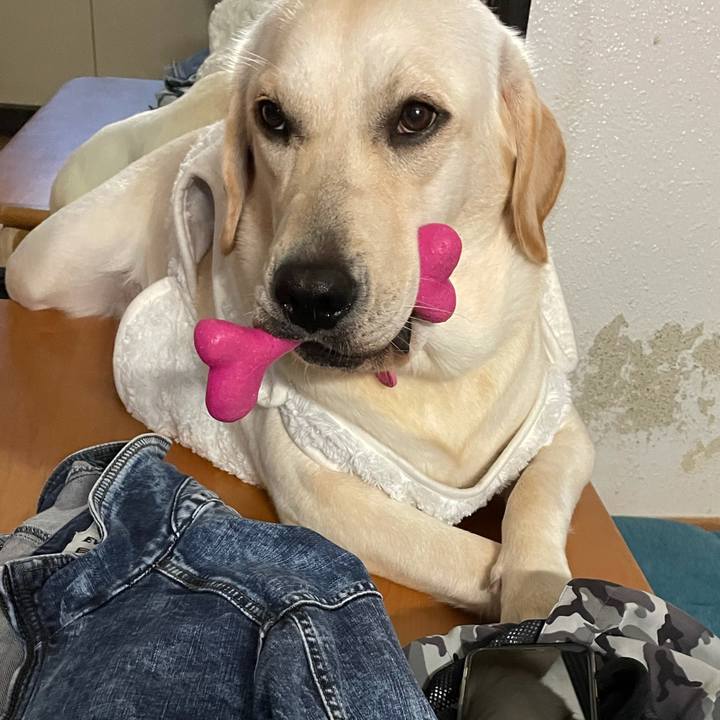 Fa2ef636 eb2d 4e51 b69f ab60c0d7e4fc 1635122918449