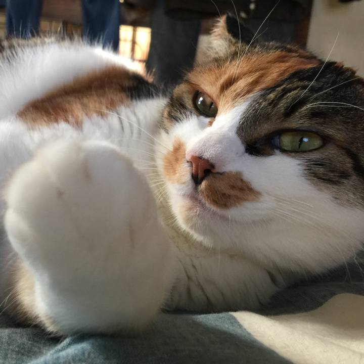 Fa2f086e 7586 481d 9448 64019586dcaf 1700627544000