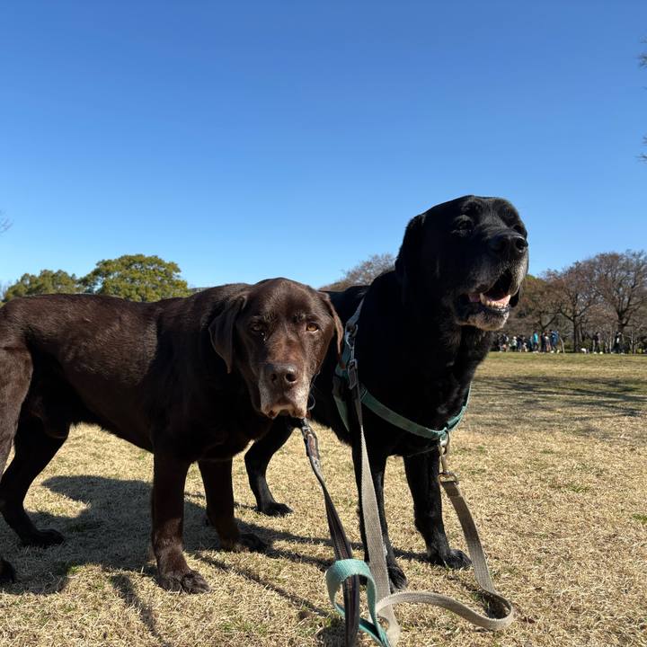 Fa2f0a03 c540 4b42 bfcc 9475f7913750 1772365511620