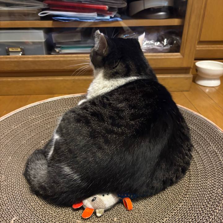 Fa2f3f5f d85b 4871 a358 712859e67bef 1763377176127