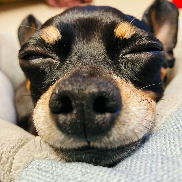 Fa2fd1b7 4a60 495b b4c5 2b484f030dce 1767397213205