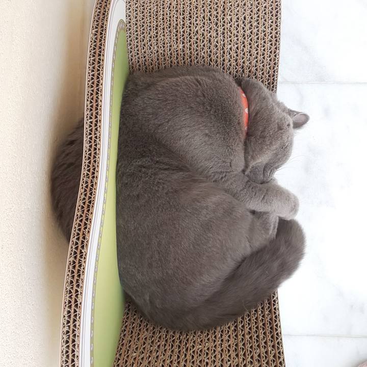 Fa2fd76c af4f 4919 8682 78790697a1c6 1538194227131