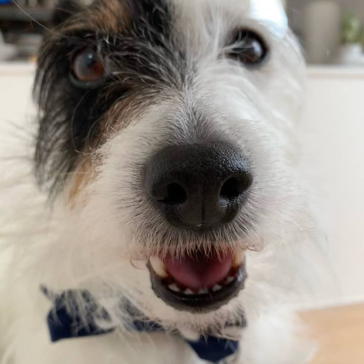 Fa300f21 d74d 44ad ae5b 1180b8a1f810 1650262533090