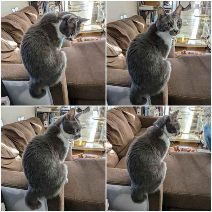 Fa303ae0 2670 4b1f a450 a847f123f48f 1731044714263