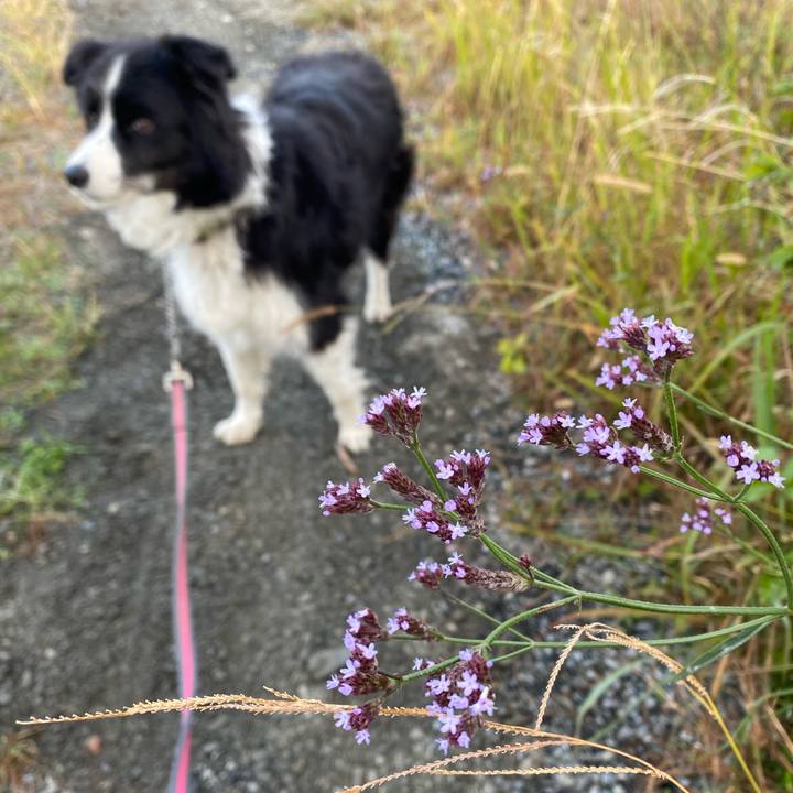 Fa304c1d 0554 4151 b2cd 564aebcadde8 1604962822716