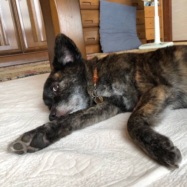 Fa304e92 fa23 44ae 9298 8e6ec9eabd8b 1564125813830