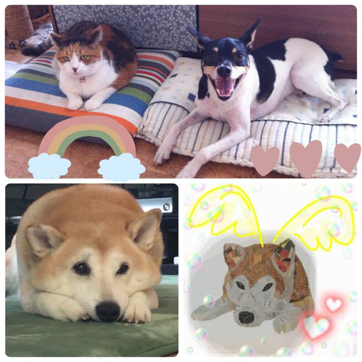 Fa306856 8ef0 4b8d b22b c0521dd372fa 1757373317322