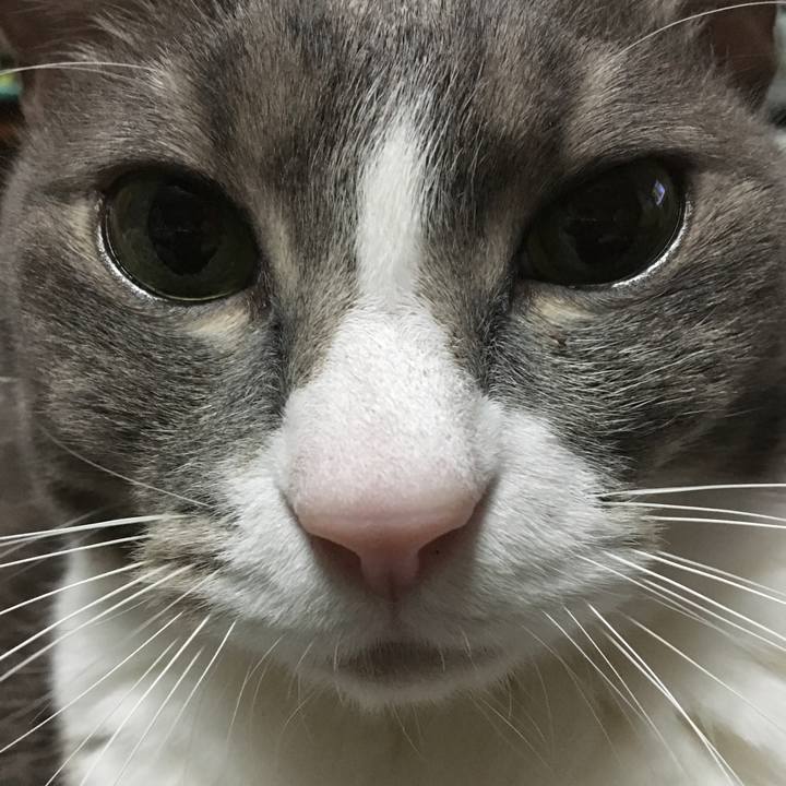 Fa30b1ae 2108 4bff 97fd 5ad650dbea90 1556623094605