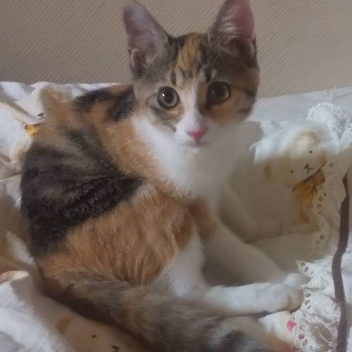 Fa313b1d 99a6 44d7 ab8f 08af466eeff4 1725719534702