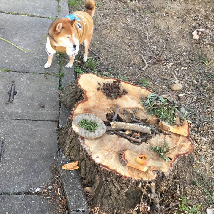 Fa31712f 4bc7 46af aba1 a43f9d3bbef7 1578296680384