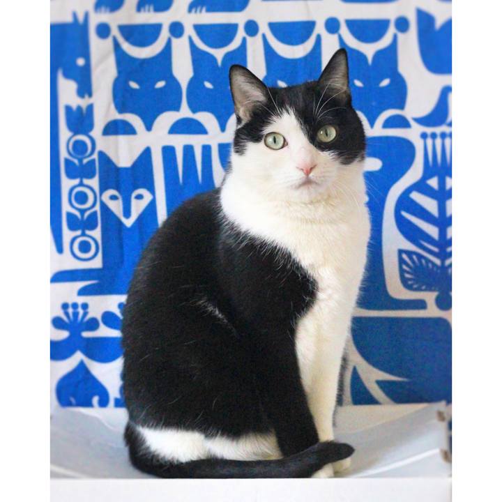 Fa31bce0 ddcb 44bf 9ead 069a2902c72c 1590101477363