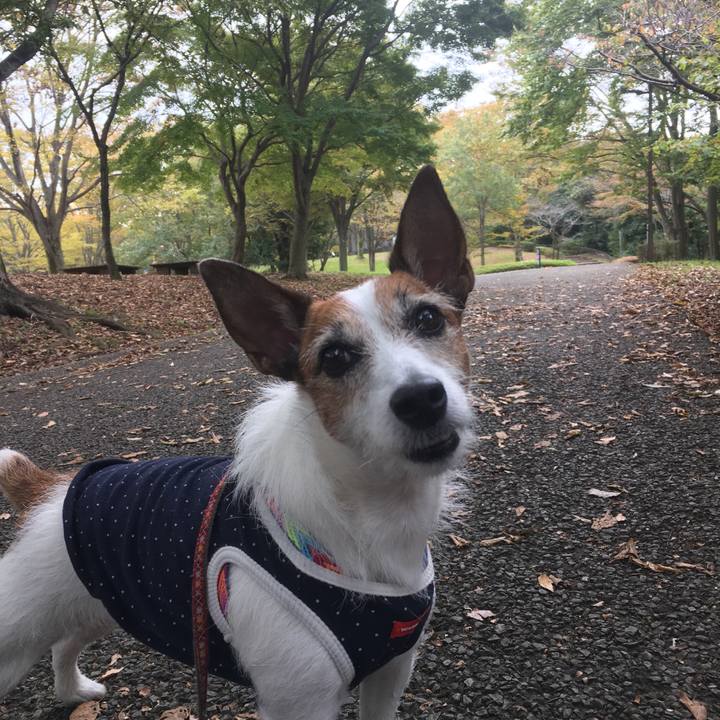 Fa31e7f1 9c35 4672 a249 bd9357dcfc9e 1572742890897