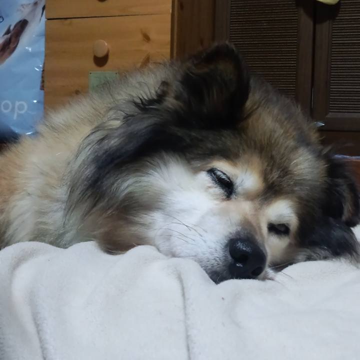 Fa3223be fd3a 4481 b1fb 0c14cf5db264 1571778077069