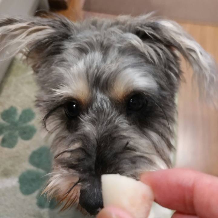 Fa32281a 1491 4548 be74 4b7e7c15f00d 1690781198026