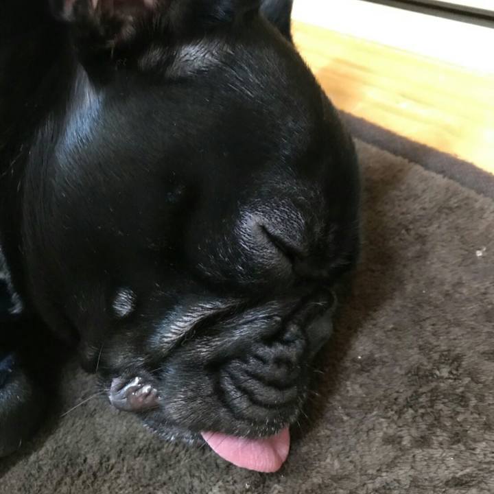 Fa324570 a33f 41f6 b21c ac4cd97e0d8f 1511439841229