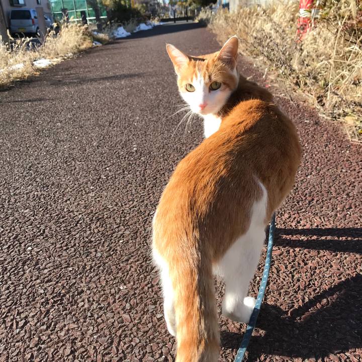 Fa325a3a 2ad8 4bf2 8739 c19152af986f 1514778733122